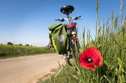 Radfahren Radfahren © Pixabay.com @Didgeman